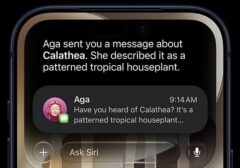 Siap-siap! Siri AI Generatif Apple Bisa Dicoba Lebih Awal Lewat Program Beta