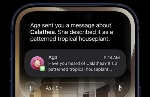 Siap-siap! Siri AI Generatif Apple Bisa Dicoba Lebih Awal Lewat Program Beta