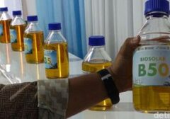 Gairah B50: Uji Coba Gaikindo Ungkap Potensi dan Tantangan Mesin Diesel Indonesia