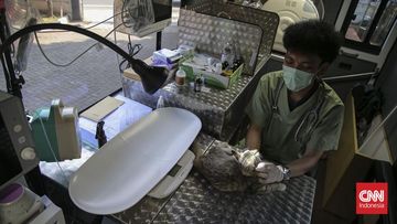 Klinik Hewan Keliling Hadir di Jakarta: Solusi Inovatif untuk Kesehatan Sahabat Berkaki Empat Anda