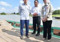 Gibran Rakabuming Berkuda Perahu Klotok, Cek Langsung Progres Jembatan Vital Lampung Timur