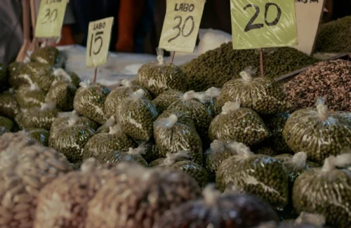 Bikin Geleng Kepala, Bunga Zainal Kaget Lihat Harga Kebutuhan Pokok Meroket di Pasar!