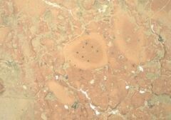 Mimpi Kolonisasi Mars Makin Dekat: Startup TerraFirma Raih Dana Jumbo untuk Bangun Basis di Planet Merah