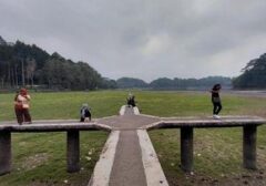 Misteri Padang Rumput Muncul di Dasar Situ Gede Tasikmalaya Akibat Kemarau Panjang