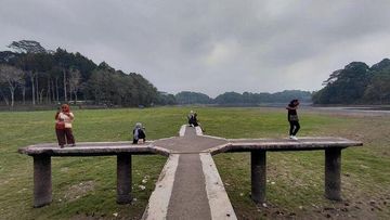 Misteri Padang Rumput Muncul di Dasar Situ Gede Tasikmalaya Akibat Kemarau Panjang