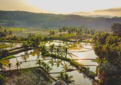 Peran Vital Pemerintah Desa dalam Optimalisasi Kepesertaan BPJS PBI