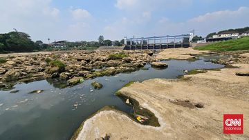 Kekeringan Melanda, Muka Sungai Cisadane Terlihat Jelas, Warga Cari Ikan di Dasar Sungai