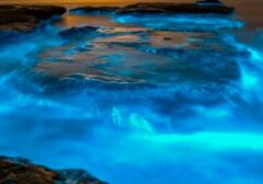 NASA Temukan Laut Bercahaya Misterius yang Membingungkan Ilmuwan