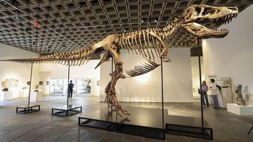 Rekor Baru Tercipta! Fosil T-Rex 'Gus' Laku Rp900 Miliar di Lelang New York