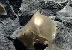 Misteri "Bola Emas" Alaska Terpecahkan: Ternyata Telur Ikan Tak Dikenal
