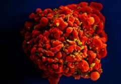 ACOG Perbarui Rekomendasi Skrining dan Pencegahan HIV