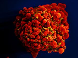ACOG Perbarui Rekomendasi Skrining dan Pencegahan HIV