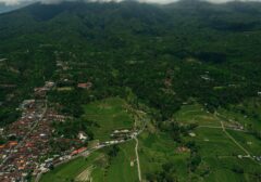 SIAP-SIAP! Tsunami Bansos Pangan Kembali Guyur Warga di Bulan September 2026