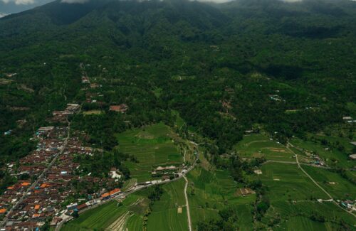 SIAP-SIAP! Tsunami Bansos Pangan Kembali Guyur Warga di Bulan September 2026