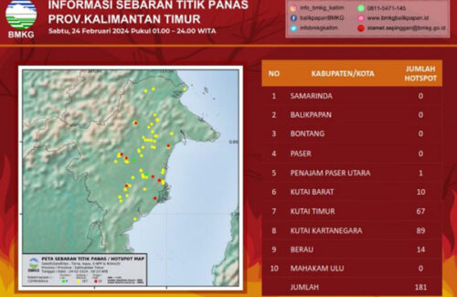 Ribuan Titik Api Muncul di Kalimantan, DPR Mendesak Penguatan Penanganan Karhutla