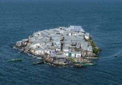 Migingo: Pulau Terpadat Dunia yang Terjepit di Danau Victoria
