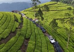Toyota Land Cruiser Indonesia Gelar Reuni Akbar Pecinta Off-Road