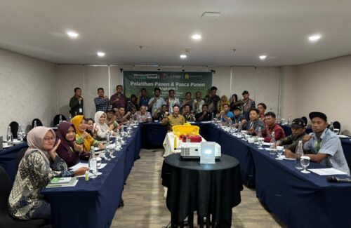 Pelatihan Panen dan Pascapanen Sawit di Paser Dongkrak Kualitas TBS dan Pendapatan Pekebun