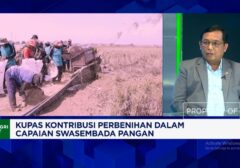 Indonesia Perlu Perkuat Bank Benih untuk Swasembada Benih Unggul Bersertifikasi