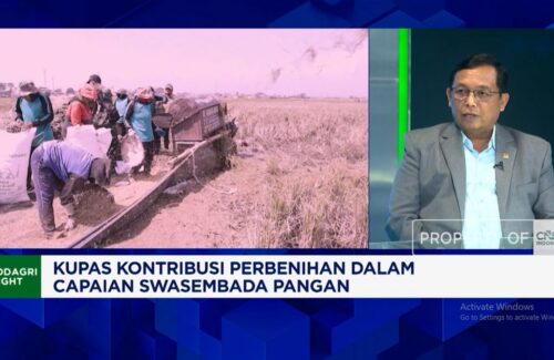 Indonesia Perlu Perkuat Bank Benih untuk Swasembada Benih Unggul Bersertifikasi