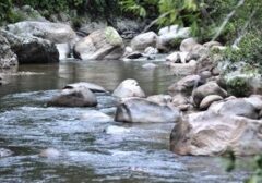 Banjir Bandang Agam: 450 Warga Mengungsi, 60 Terjebak di Sungai Batang