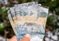Laporan Transparansi APBN 2026: Triliunan Rupiah untuk Perlindungan Sosial