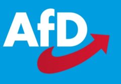 Survei Terbaru: AfD Lampaui Blok CDU/CSU dalam Lanskap Politik Jerman