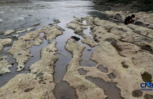 Sungai Cisadane Bogor Menyusut Drastis, Dasar Sungai Terbuka Lebar