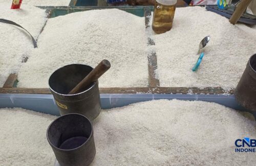 Pedagang Ungkap Penyebab Beras Medium dan Premium Tetap Melambung di Pasar Rumput