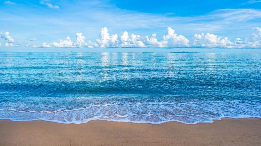 Penurunan Oksigen Laut: Ancaman Senyap bagi Kehidupan Air dan Bumi