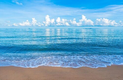 Penurunan Oksigen Laut: Ancaman Senyap bagi Kehidupan Air dan Bumi
