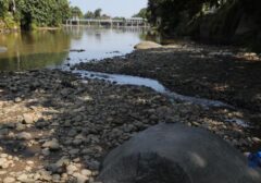 Kekeringan Melanda Bendung Katulampa, Sungai Bak Daratan Picu Kekhawatiran Warga