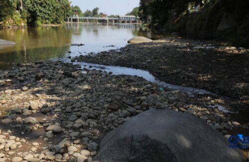 Kekeringan Melanda Bendung Katulampa, Sungai Bak Daratan Picu Kekhawatiran Warga