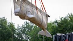 Enam Paus Beluga Tiba di Amerika Serikat dari Taman Laut Kanada