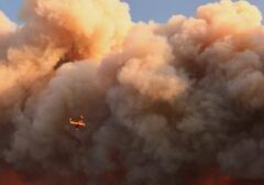 Api Berkobar di Prancis Selatan: 1.700 Hektare Lahan Terbakar, Ribuan Warga Dievakuasi