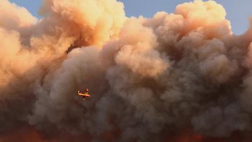 Api Berkobar di Prancis Selatan: 1.700 Hektare Lahan Terbakar, Ribuan Warga Dievakuasi