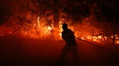Kebakaran Hutan Melalap Prancis dan Spanyol, Ribuan Dievakuasi