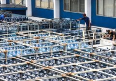BPOM Tegaskan Galon Guna Ulang Aman, Standar Industri Terpenuhi