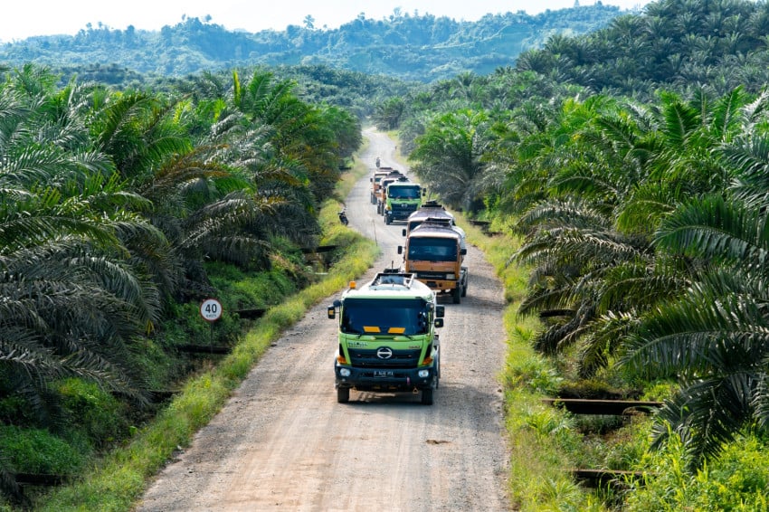 Dorong Hilirisasi Sawit, Indonesia Bidik Posisi Sentral Industri Global