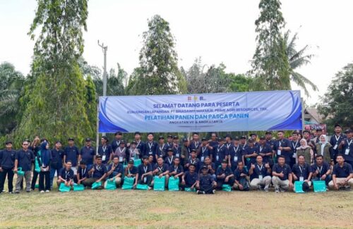 133 Pekebun Sawit Muara Enim Dilatih Tingkatkan Kualitas TBS