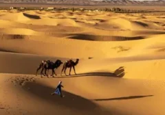 Siklus 20.000 Tahun Ubah Sahara: Dari Gurun Tandus Menjadi Sabana Hijau