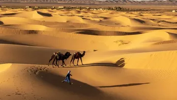 Siklus 20.000 Tahun Ubah Sahara: Dari Gurun Tandus Menjadi Sabana Hijau
