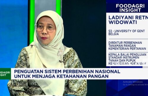Kementan Atasi Lonjakan Harga Benih Unggul, Antisipasi Dampak pada Industri Pertanian