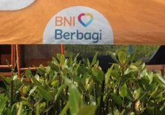 BNI Tanam 258 Ribu Mangrove, Dukung Lingkungan dan Ekonomi Pesisir