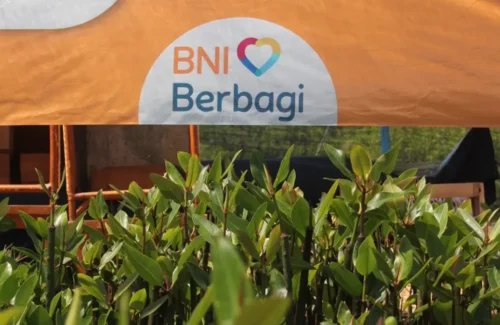 BNI Tanam 258 Ribu Mangrove, Dukung Lingkungan dan Ekonomi Pesisir