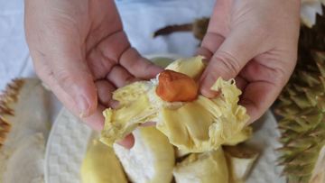 Benarkah Durian Picu Kolesterol Tinggi? Fakta Ilmiah Ungkap Kandungan Buah Raja