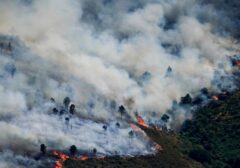 Kebakaran Lahan Landa Madrid dan Bordeaux, Ribuan Jiwa Terdampak