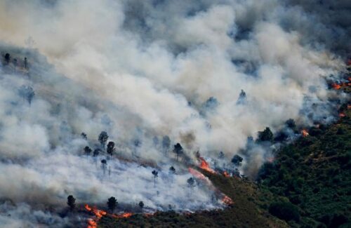 Kebakaran Lahan Landa Madrid dan Bordeaux, Ribuan Jiwa Terdampak