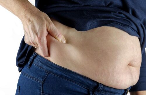 Strategi Diet Efektif: 6 Pilihan Makanan Lokal untuk Mengecilkan Perut Buncit