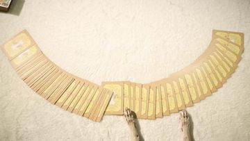 Ramalan Tarot untuk Hewan Peliharaan Makin Populer di Korea Selatan